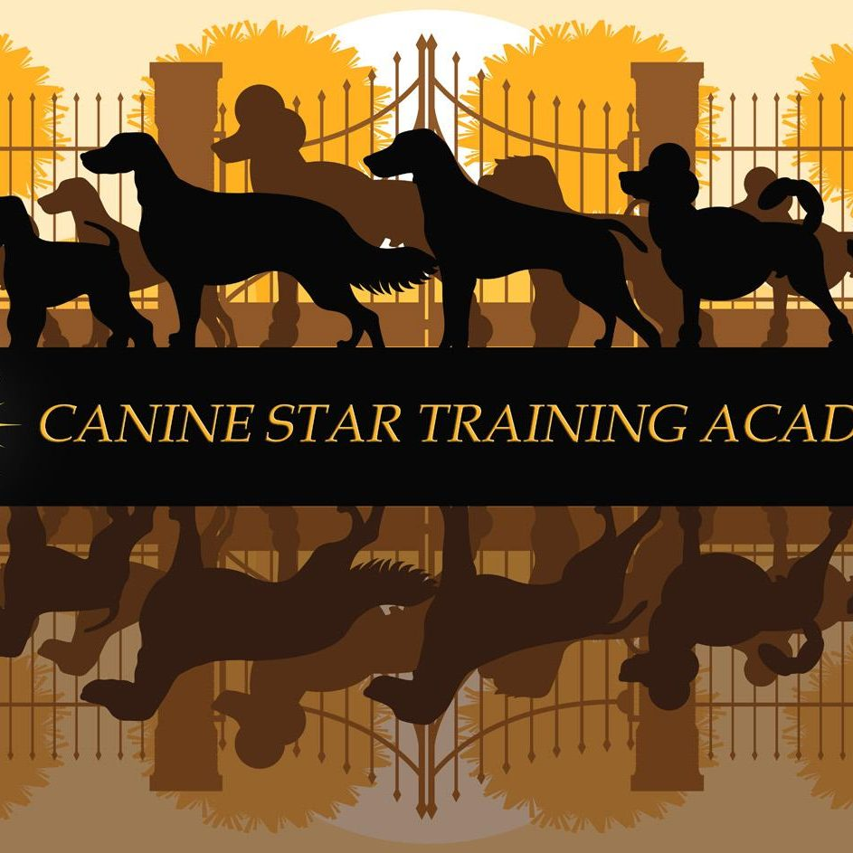 Canine Star Training Academy