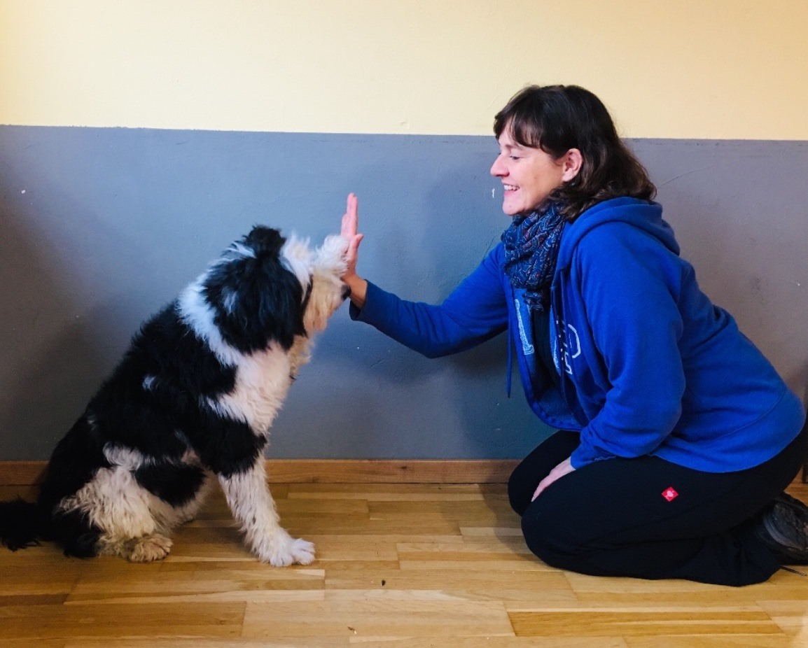 Hundeschule Frankfurt Claudia Mantke