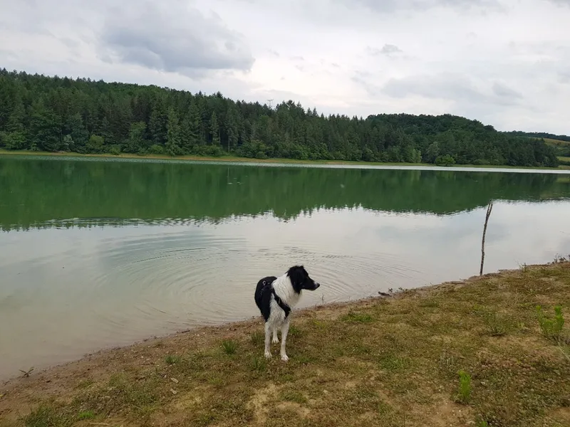 Lac de Saint-André park image