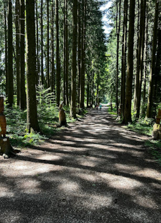 Sentier des Sculptures