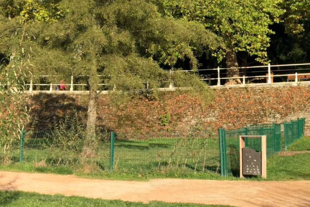 Parc pour chiens Vichy