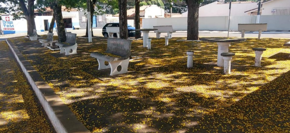 Praça da Vitória