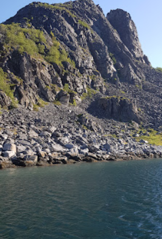Nordic Safari Wildlife Adventures AS