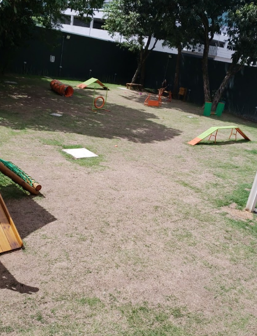 Parque Agility Parnamirim