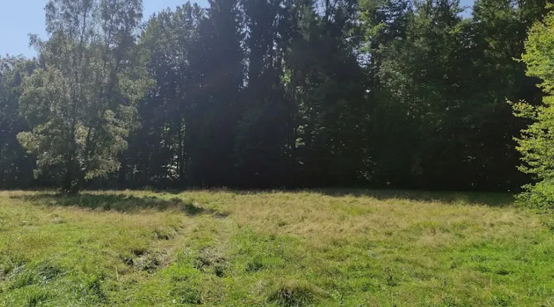 Lochborn von Bieber park image