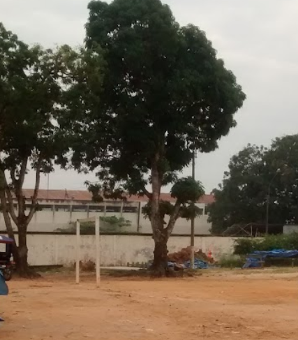 Mangualito
