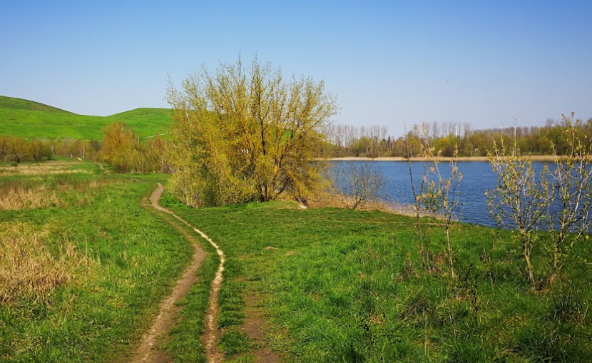 Kleiner Biotopsee Arkenberge