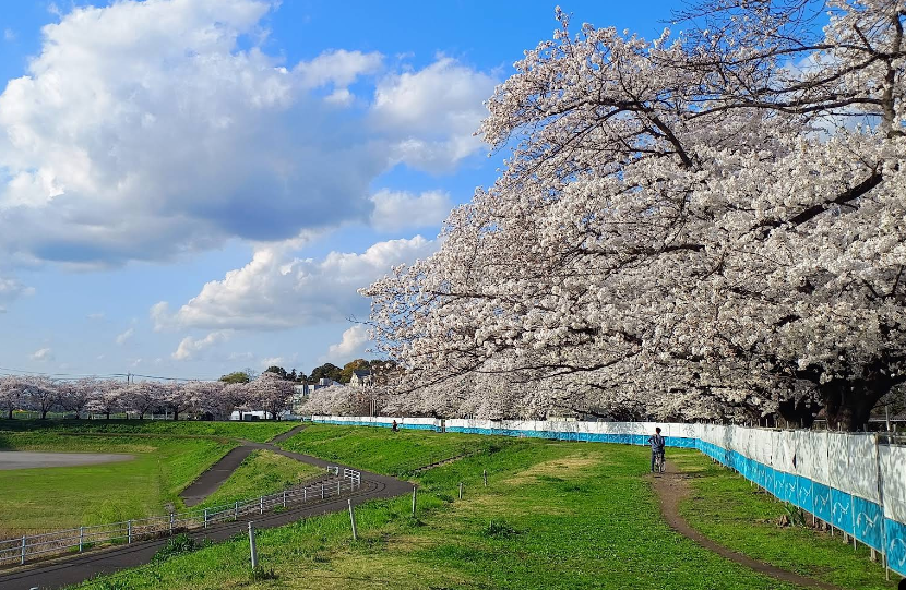 大和田公園