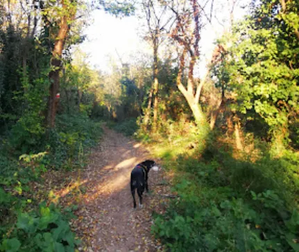 Sentiero del monte Cinto (n. 11) park image