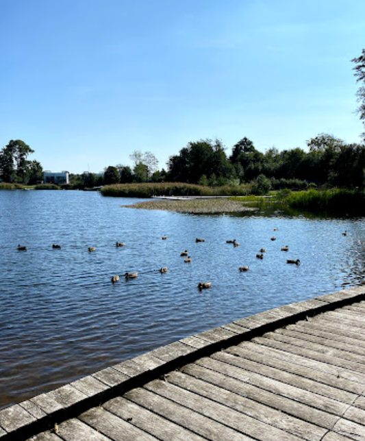 Sunds Lege Park