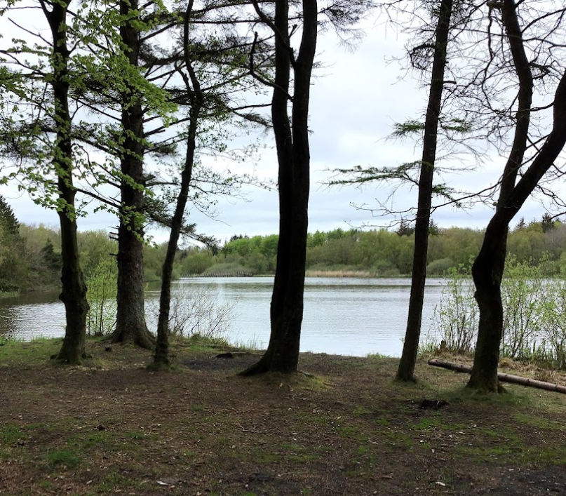 Subsurf point I