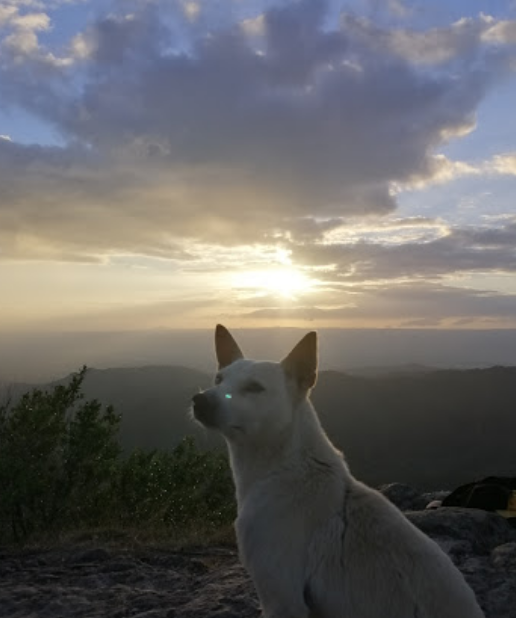 Mt. Marami