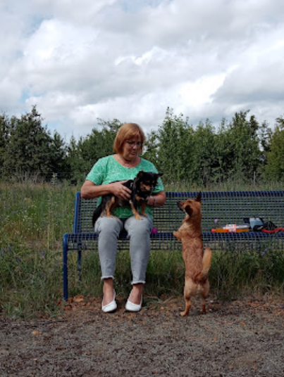 Hundefreilauffläche