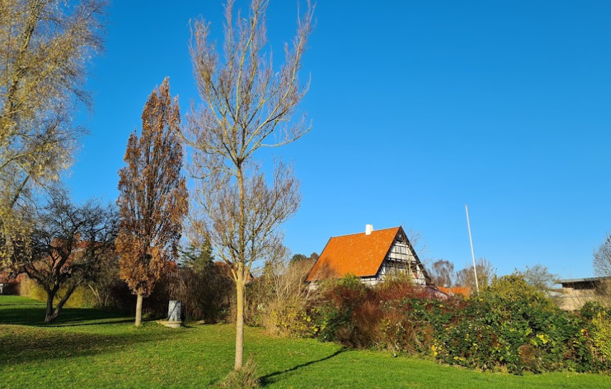 Willow Garden