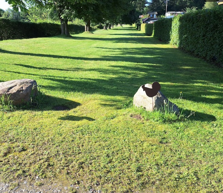 Dyrekoloni Vibelund