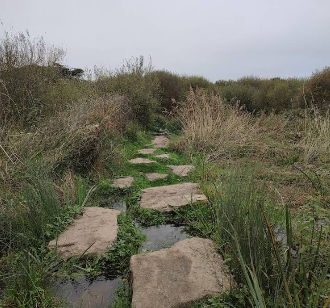 Le sentier sur les pas de nos Ducs