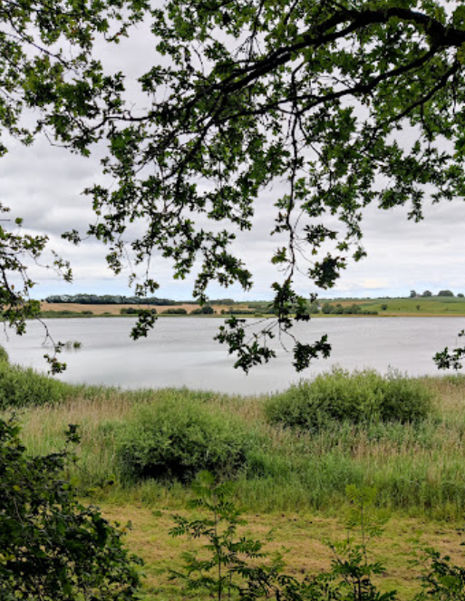 Fugletårnet ved Dystrup Sø