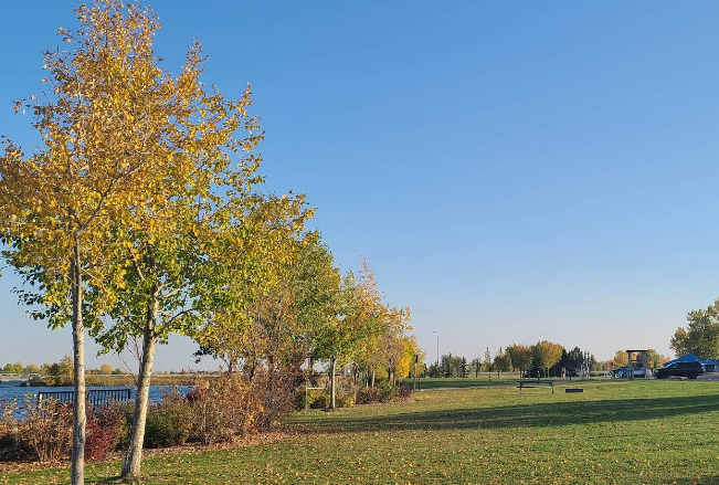 John Peake Memorial Park