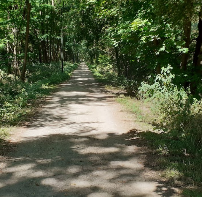 Parcours de santé du Grubfeld