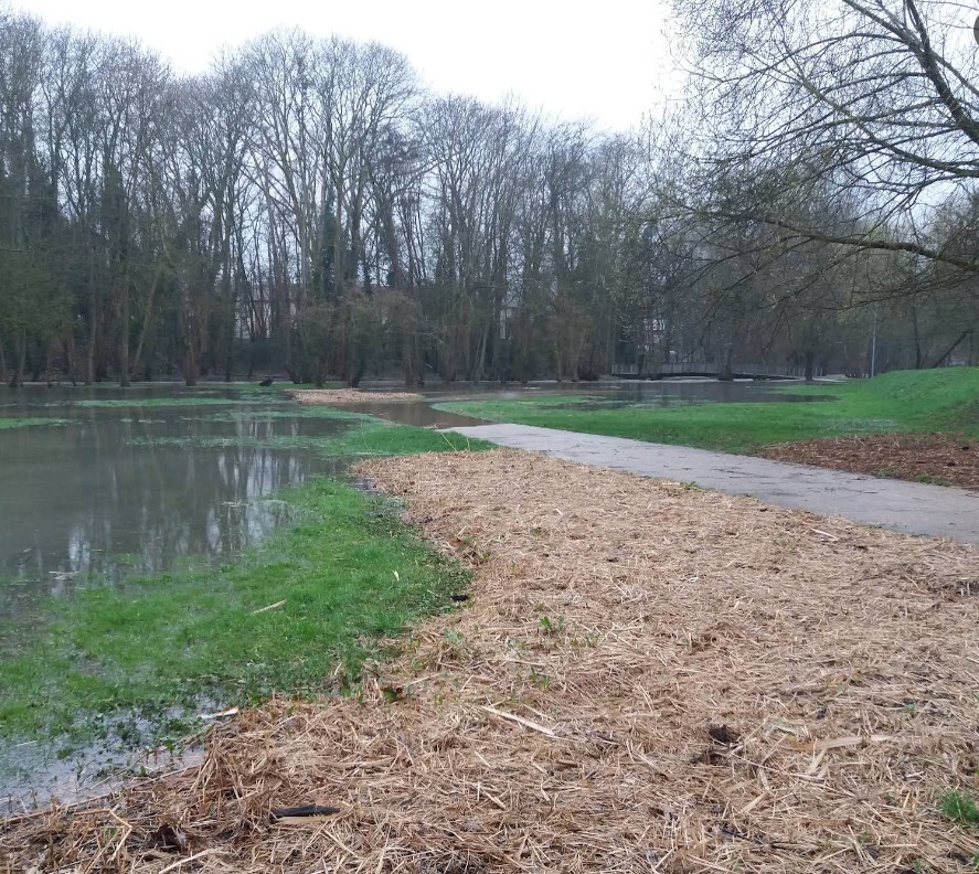 Parc de l'Île de Brunoy