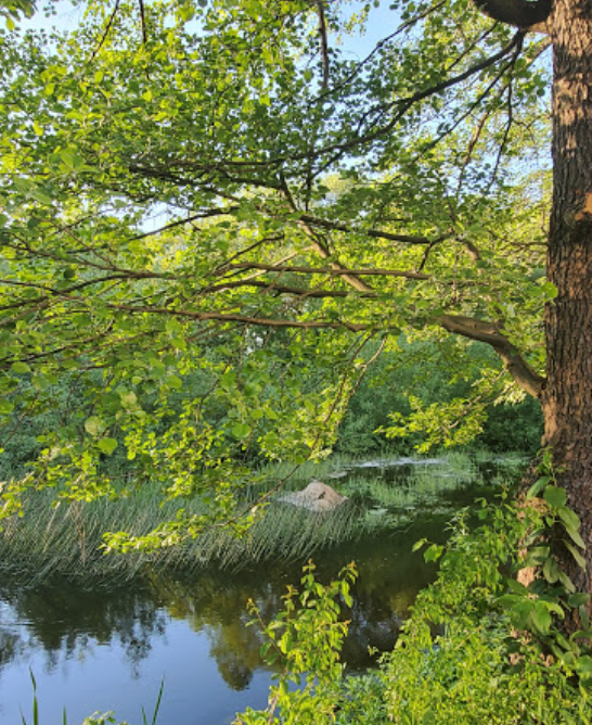 Ekmark Park
