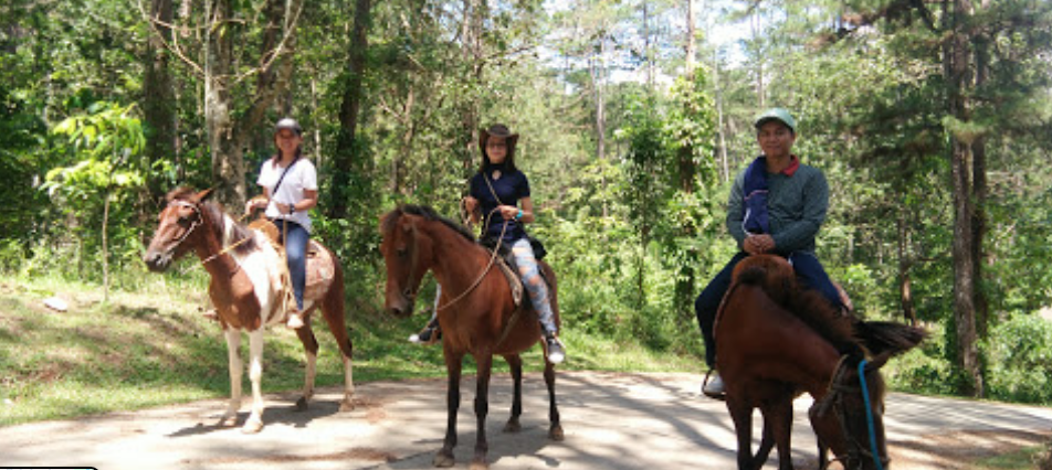 Kaamulan Park