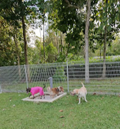 Choa Chu Kang Park Dog Run