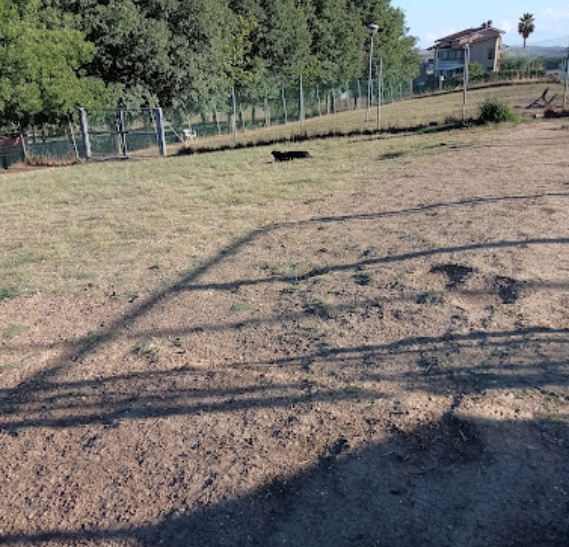 Sgambatoio per cani - La Vescovara