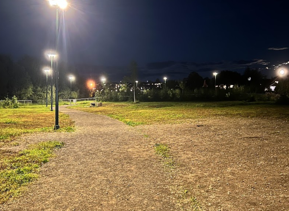 Hundepark, Holtparken