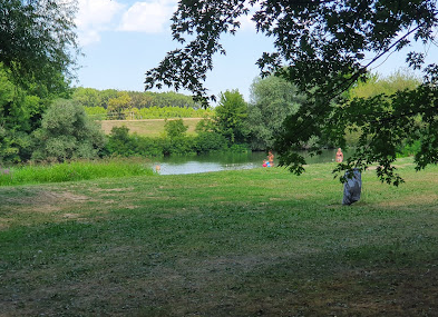 Városerdei szabadstrand