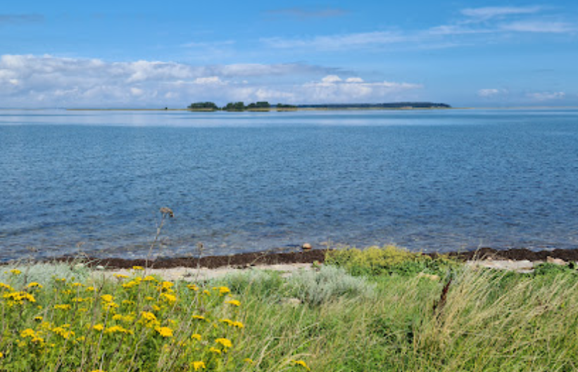 Langø Mølle. Udkigstårn