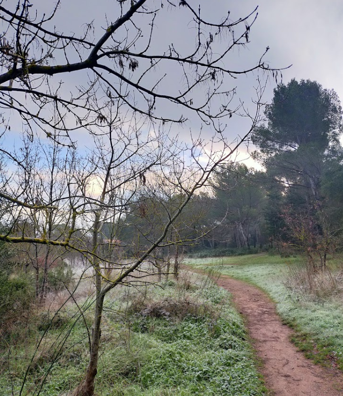Forêt Fabregas