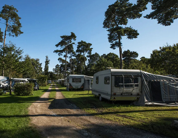Sandbjerg Vig Camping