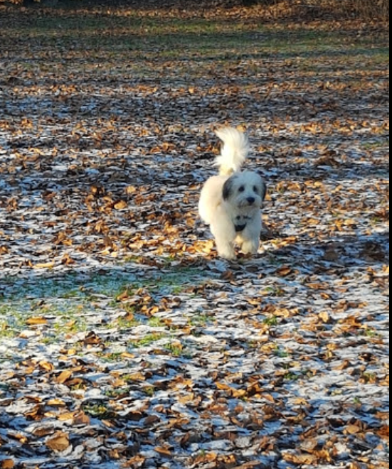 Margrethelund