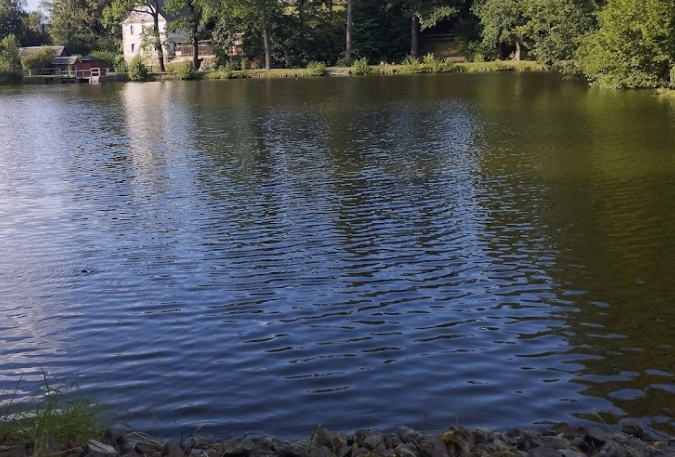 Park mit Parkteich