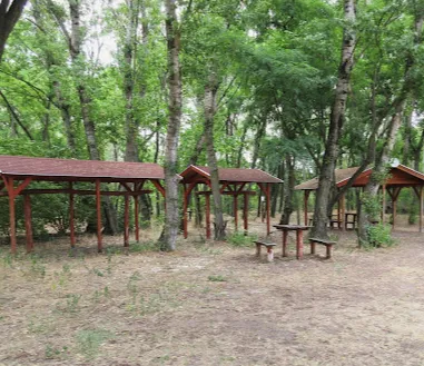 Pusztaházi Parkerdő park image