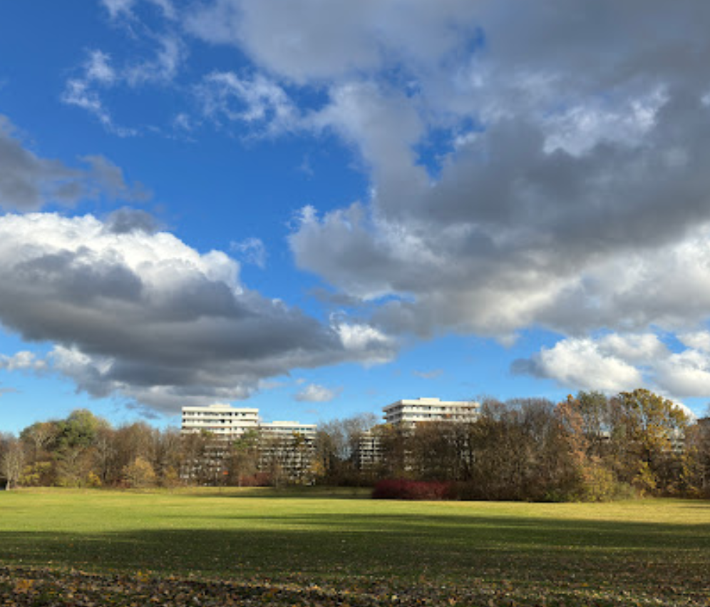 Hundewiese Ost Park