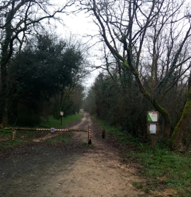Forêt de Sainte-Gemme-la-Plaine Parkbild