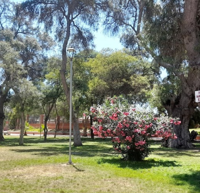 Parque El Pretil