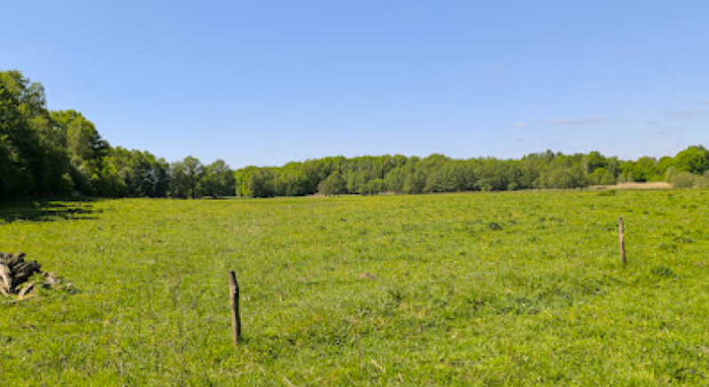 Naturschutzgebiet Stellmoorer Tunneltal