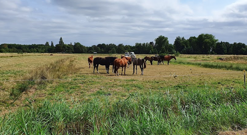 Vereinsheim Park links der Weser