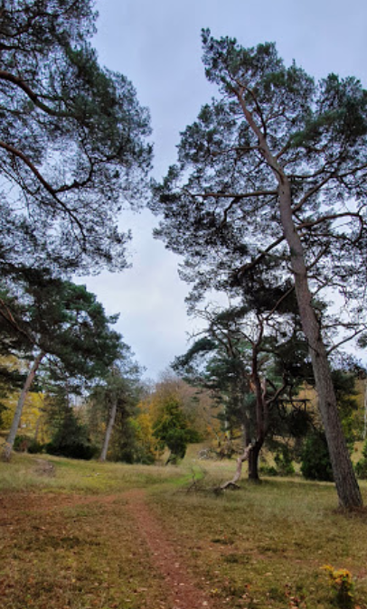 Bangshøj