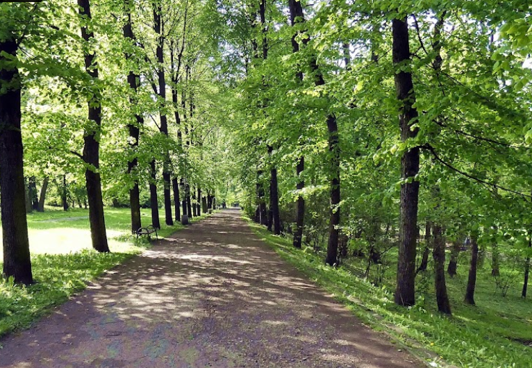 Park Miejski w Zabrzu