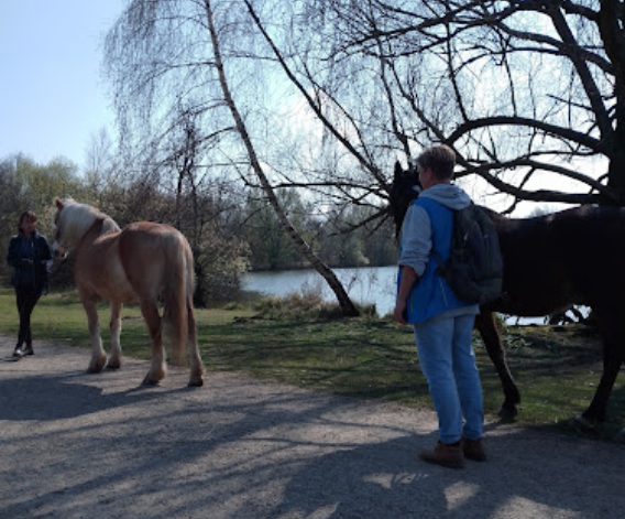 Krimpelsee Park