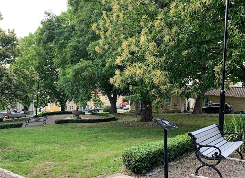 Braheparken