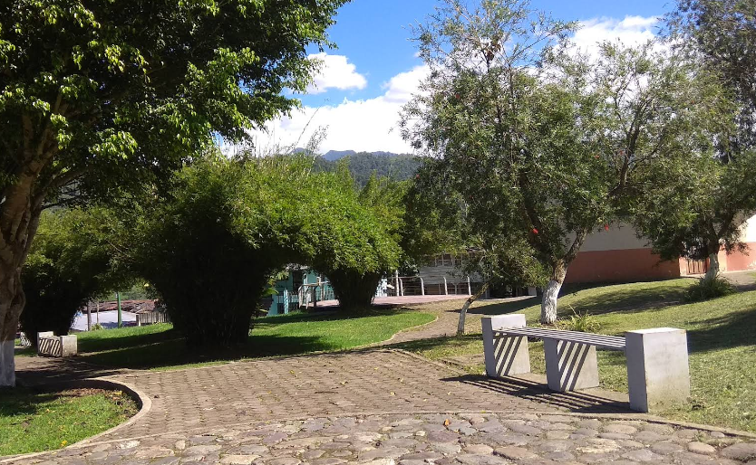 PARQUE DE LOS OLIVOS