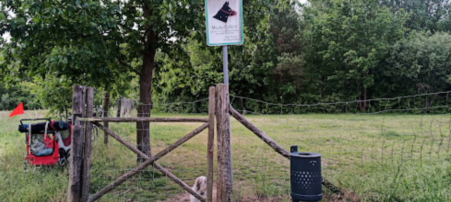 Hundeauslaufgebiet 4.8 (4)