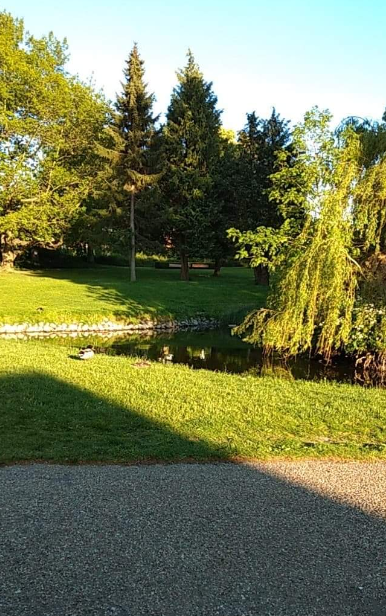 Viby park