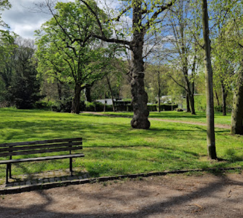 Wasserfontäne im Großen Teich
