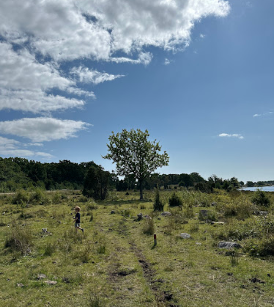 Almö natural reserve
